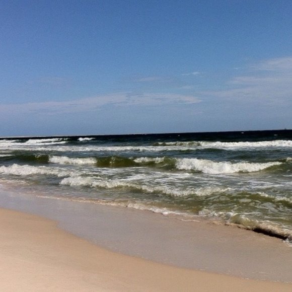 Meet your Posher, Pam - Picture 1 of 1